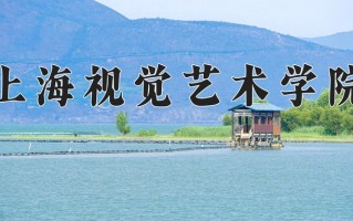 2024年上海视觉艺术学院招生章程，附办学层次和录取规则