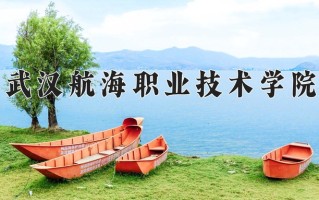 2024年武汉航海职业技术学院招生章程，附办学层次和录取规则