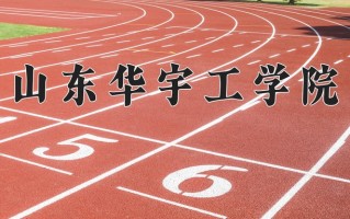 2024年山东华宇工学院招生章程，附办学层次和录取规则