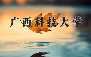2024年广西科技大学招生章程，附办学层次和录取规则