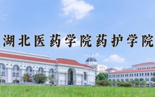 2024年湖北医药学院药护学院招生章程，附办学层次和录取规则