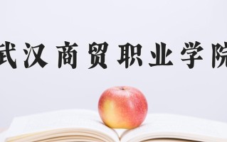 武汉商贸职业学院一年学费多少钱及各专业的收费标准(2025参考）