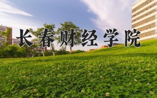 2025年长春财经学院在四川计划招生人数（附学费及专业录取分)