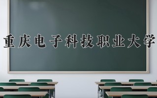 2024年重庆电子科技职业大学招生章程，附办学层次和录取规则