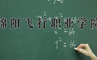 2024年绵阳飞行职业学院招生章程，附办学层次和录取规则