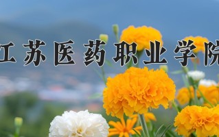 2025年江苏医药职业学院在四川计划招生人数（附学费及专业录取分)
