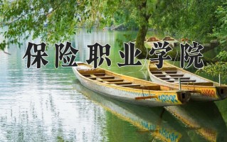 2024年保险职业学院招生章程，附办学层次和录取规则