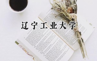 辽宁工业大学2024在山东录取分数线是多少？最低455分/最高554分
