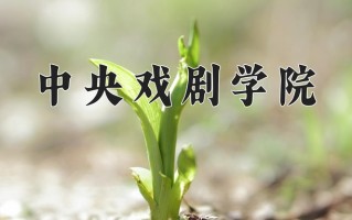 2024年中央戏剧学院招生章程，附办学层次和录取规则