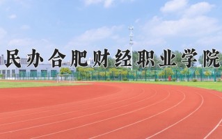 民办合肥财经职业学院一年学费多少钱及各专业的收费标准(2025参考）