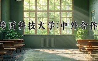 2025年陕西科技大学(中外合作)在重庆计划招生人数（附学费及专业录取分)
