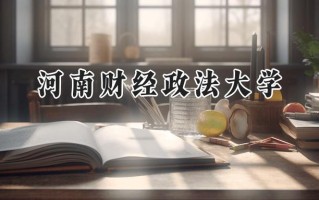 河南财经政法大学2024在江苏录取分数线是多少？最低553分/最高563分