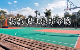 杨凌职业技术学院2024在青海录取分数线是多少？最低280分/最高302分