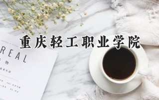 重庆轻工职业学院2024在浙江录取分数线是多少？最低313分/最高383分
