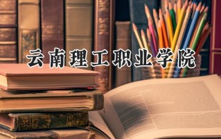 云南理工职业学院2024在内蒙古录取分数线是多少？最低163分/最高292分