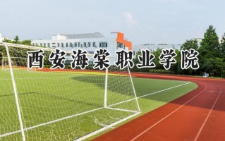 西安海棠职业学院2024在青海录取分数线是多少？最低248分/最高316分
