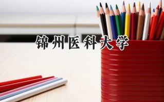 2024锦州医科大学录取分数线：河南最低457分