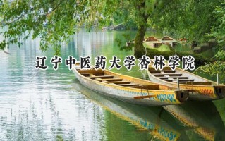2024辽宁中医药大学杏林学院录取分数线：宁夏最低395分