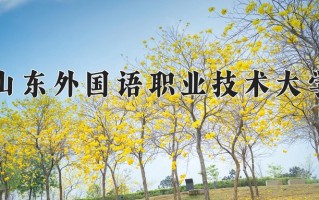 2024年山东外国语职业技术大学招生章程，附办学层次和录取规则