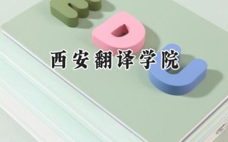 2024西安翻译学院录取分数线：宁夏最低312分