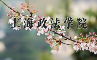 2025年上海政法学院在河南计划招生人数（附学费及专业录取分)
