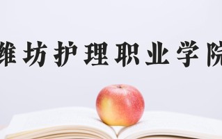 2024年潍坊护理职业学院招生章程，附办学层次和录取规则