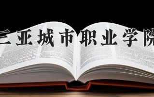 2024三亚城市职业学院录取分数线，重庆录取最低分180