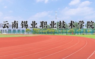 2024年云南锡业职业技术学院招生章程，附办学层次和录取规则