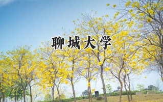 聊城大学2024在浙江录取分数线是多少？最低489分/最高599分