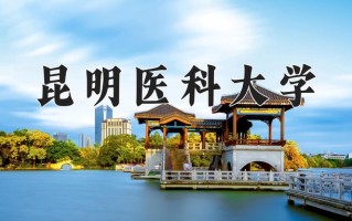 昆明医科大学一年学费多少钱及各专业的收费标准(2025参考）