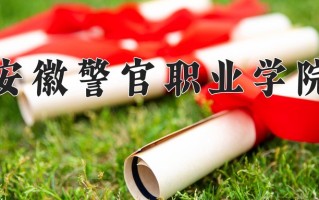 2024年安徽警官职业学院招生章程，附办学层次和录取规则