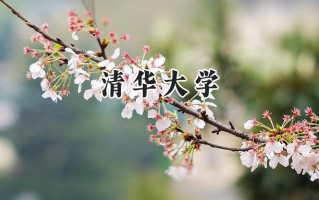 清华大学2024在新疆录取分数线是多少？最低623分/最高673分