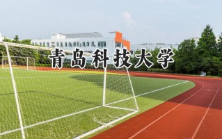 2024青岛科技大学录取分数线：江苏最低547分
