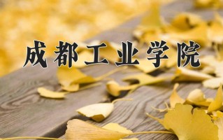 2024年成都工业学院招生章程，附办学层次和录取规则