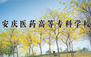 2024年安庆医药高等专科学校招生章程，附办学层次和录取规则