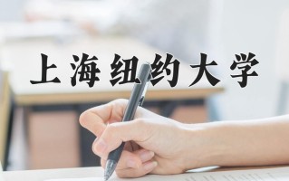 2024年上海纽约大学招生章程，附办学层次和录取规则