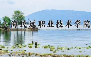 2024年上海民远职业技术学院招生章程，附办学层次和录取规则