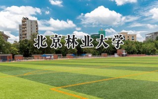 2024北京林业大学录取分数线：新疆最低465分