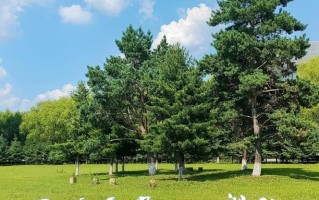 2025中国地质矿业石油类民办大学排名发布，附校友会榜单