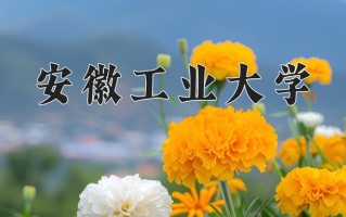 2025年安徽工业大学在四川计划招生人数（附学费及专业录取分)