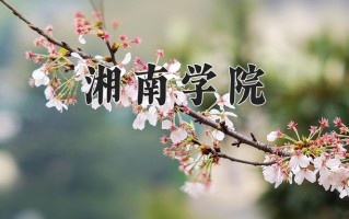 2025年湘南学院在四川计划招生人数（附学费及专业录取分)