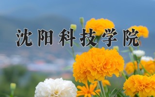 2024年沈阳科技学院招生章程，附办学层次和录取规则