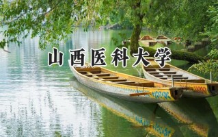 2024山西医科大学录取分数线：河南最低502分