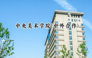 中央美术学院(中外合作)2024在福建录取分数线是多少？最低529分/最高579分