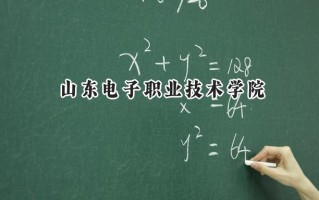 2024山东电子职业技术学院录取分数线：山西最低335分