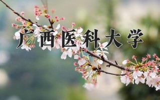 广西医科大学好不好？附广西医科大学最好的专业排名