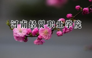 河南经贸职业学院2024在山东录取分数线是多少？最低358分/最高445分
