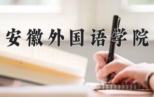 2024年安徽外国语学院招生章程，附办学层次和录取规则