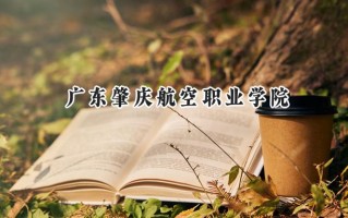 广东肇庆航空职业学院2024在山东录取分数线是多少？最低167分/最高208分
