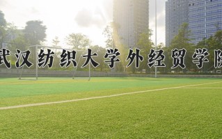 2024年武汉纺织大学外经贸学院录取分数线，新疆最低227分